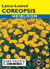 Coreopsis Lance-leaved