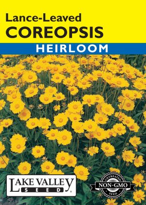 Coreopsis Lance-leaved