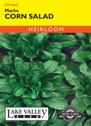 Corn Salad (Mache)