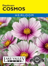 Cosmos Daydream - Item #110