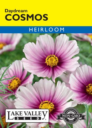Cosmos Daydream - Item #110