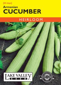 Cucumber Armenian - Item #115
