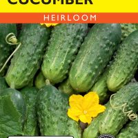 Cucumber National Pickling