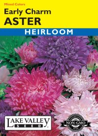 Aster Early Charm Mixed Colors