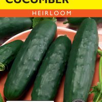 Cucumber Spacemaster - Item #120