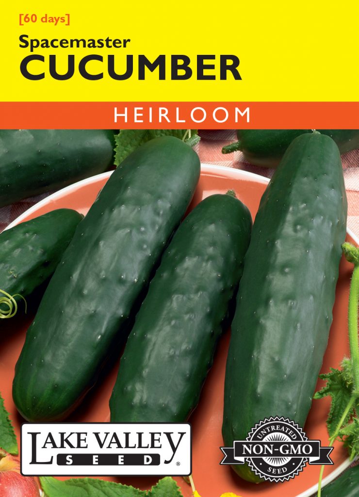 Cucumber Spacemaster Item 120 Lake Valley Seed