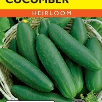 Cucumber Straight Eight