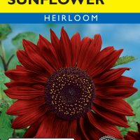 Sunflower Velvet Queen Red