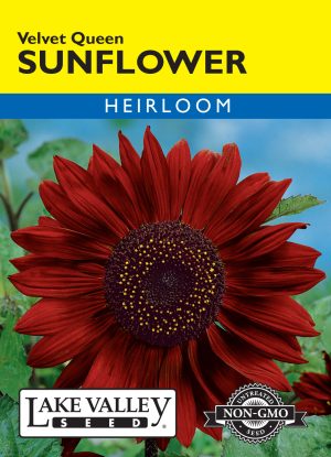 Sunflower Velvet Queen Red