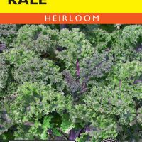 Kale Red Russian