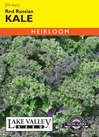 Kale Red Russian