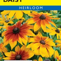 Daisy Gloriosa Mixed Colors