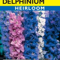 Delphinium Pacific Giants