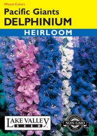 Delphinium Pacific Giants