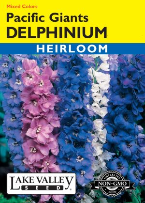 Delphinium Pacific Giants
