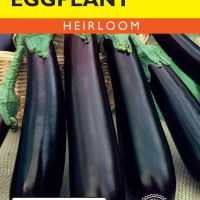 Eggplant Long Purple