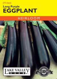 Eggplant Long Purple