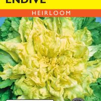 Endive Batavian Full Heart
