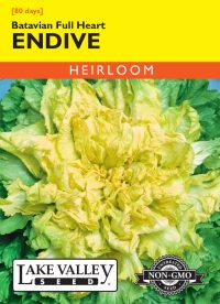 Endive Batavian Full Heart