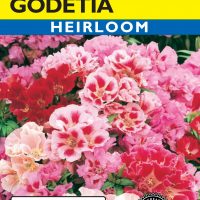 Godetia Farewell To Spring