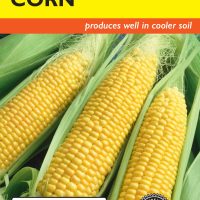 Corn Sweet Kandy Korn