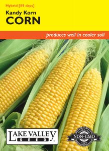 Corn Sweet Kandy Korn Hybrid – Item #1441