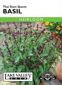 Basil Thai Siam Queen - Item #1443