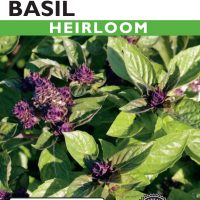 Basil Thai Siam Queen