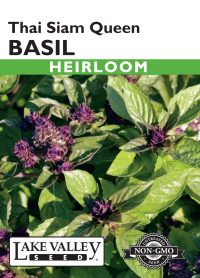 Basil Thai Siam Queen