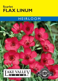 Flax Linum Scarlet