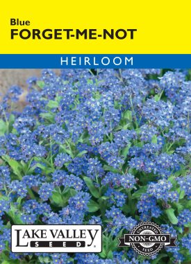 Forget-Me-Not Blue