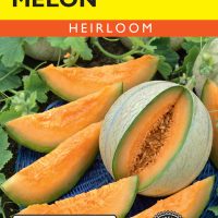 Melon Charentais - Item #1472