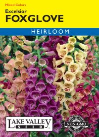 Foxglove Excelsior Mixed Colors