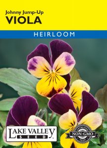 Viola Johnny Jump-Up – Item #161