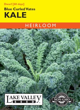 Kale Dwarf Blue Curled Vates