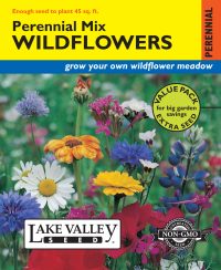 Wildflowers Perennial Mix