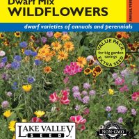 Wildflowers Dwarf Mix