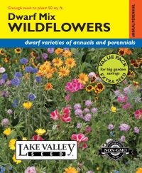 Wildflowers Dwarf Mix