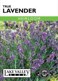 Lavender True - Item #167