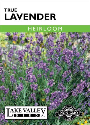 Lavender True - Item #167