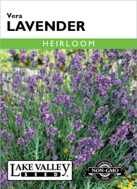 Lavender Vera - Item #167