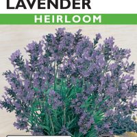 Lavender True - Item #167