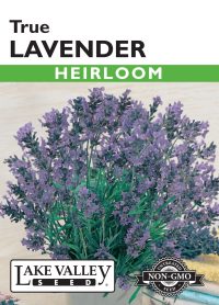 Lavender True - Item #167