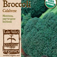 Broccoli Calabrese - Item #1671