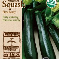 Squash (Summer) Black Beauty