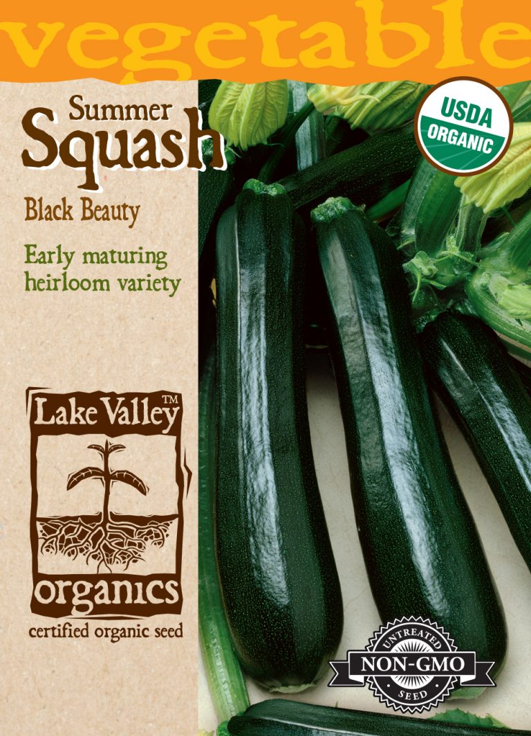 Squash (Summer) Black Beauty Item 1672 Lake Valley Seed