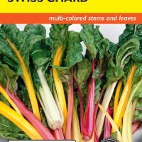 Swiss Chard Bright Lights