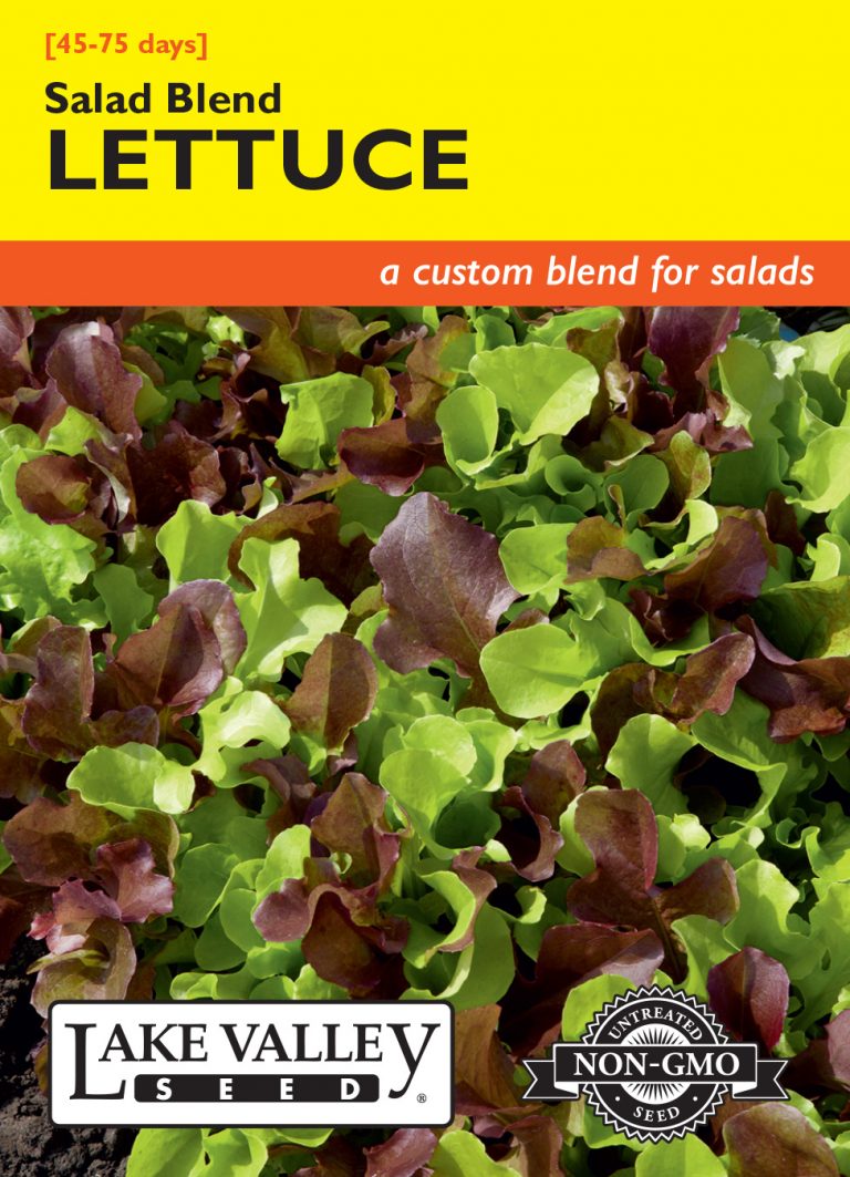 Lettuce Salad Blend Item 1676 Lake Valley Seed
