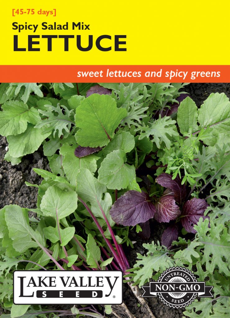 Lettuce Spicy Salad Mix Item 1677 Lake Valley Seed