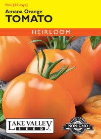 Tomato (Pole) Amana Orange